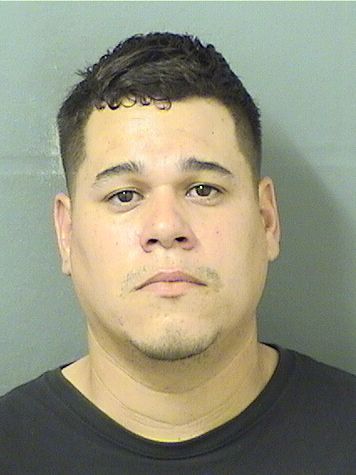  RAFAEL  Jr CARRASQUILLO Results from Palm Beach County Florida for  RAFAEL  Jr CARRASQUILLO