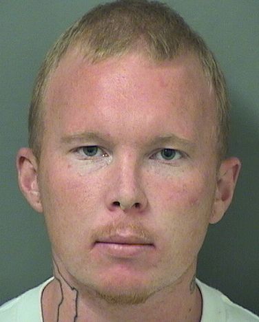  THEODORE BENTLEY WAYMAN Results from Palm Beach County Florida for  THEODORE BENTLEY WAYMAN