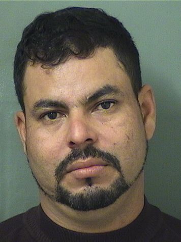  WILMER SALINASLANDA Results from Palm Beach County Florida for  WILMER SALINASLANDA