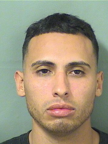  RENE HERNANDEZ Results from Palm Beach County Florida for  RENE HERNANDEZ