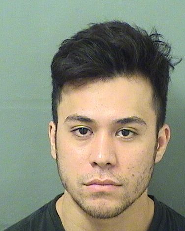  MATTHEW JASON HOLLAND Results from Palm Beach County Florida for  MATTHEW JASON HOLLAND