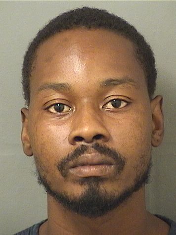  MARC PIERRE LUZINCOURT Resultados de la busqueda para Palm Beach County Florida para  MARC PIERRE LUZINCOURT