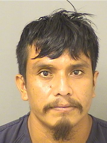  MARCOS NOLASCOMORALES Resultados de la busqueda para Palm Beach County Florida para  MARCOS NOLASCOMORALES