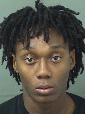  STEVEN A LINDSAY Resultados de la busqueda para Palm Beach County Florida para  STEVEN A LINDSAY