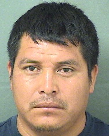 MARTE MARTIN Results from Palm Beach County Florida for MARTE MARTIN MARTE MARTIN Results from Palm Beach County Florida for MARTE MARTIN