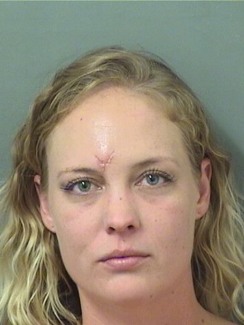  SHANNON AMELIA HOEKSTRA Results from Palm Beach County Florida for  SHANNON AMELIA HOEKSTRA