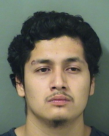  SERGIO FABIAN Results from Palm Beach County Florida for  SERGIO FABIAN