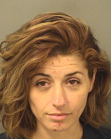  DEVAN CHRISTINE PUCCI Results from Palm Beach County Florida for  DEVAN CHRISTINE PUCCI