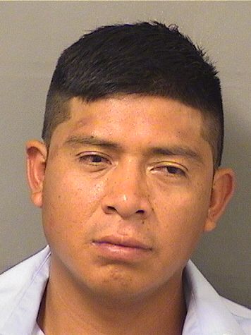  VERSINE HERNANDEZ Results from Palm Beach County Florida for  VERSINE HERNANDEZ