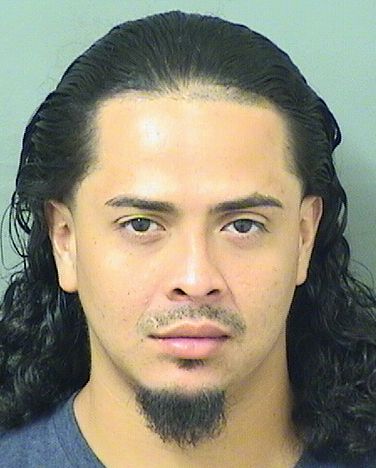  ROLDAN FRANCISCO LEE Results from Palm Beach County Florida for  ROLDAN FRANCISCO LEE
