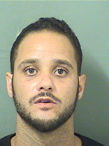  WILLIAM FRANCISO PEREZ Results from Palm Beach County Florida for  WILLIAM FRANCISO PEREZ