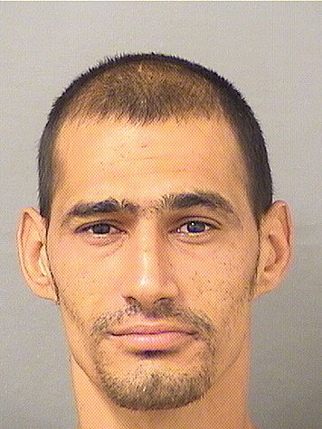  PATRICK JOHN CLAVELOR Results from Palm Beach County Florida for  PATRICK JOHN CLAVELOR