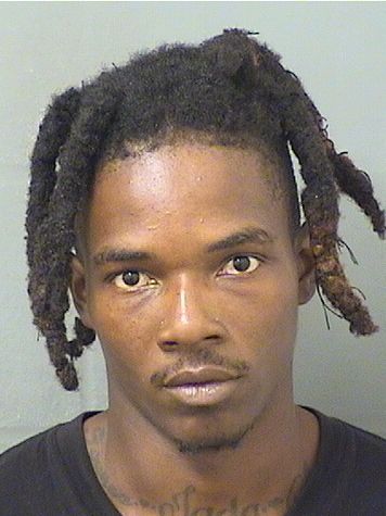  ADELSON  Jr MICHEL Results from Palm Beach County Florida for  ADELSON  Jr MICHEL