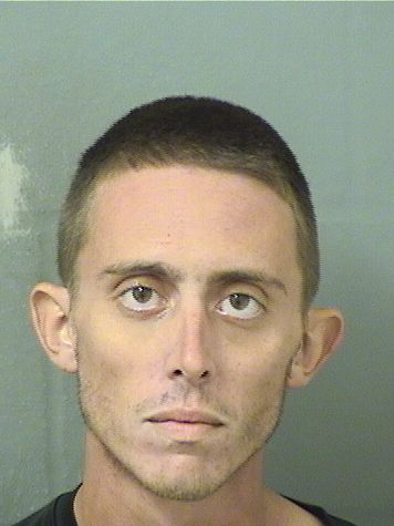  MICHAEL ANTHONY PUMO VANDENBOSCH Results from Palm Beach County Florida for  MICHAEL ANTHONY PUMO VANDENBOSCH