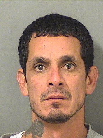  MICHEAL VASQUEZ Resultados de la busqueda para Palm Beach County Florida para  MICHEAL VASQUEZ