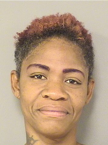  DEAUNNA MCELHANEY Results from Palm Beach County Florida for  DEAUNNA MCELHANEY