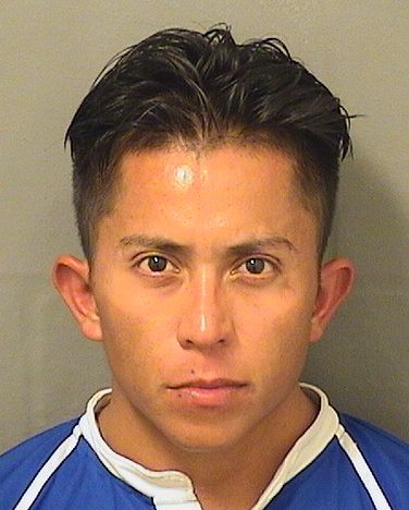  JOEL ENRIQUE PEREZVEGAS Results from Palm Beach County Florida for  JOEL ENRIQUE PEREZVEGAS