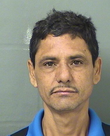  HILARIO MARTINEZ GONZALEZ Results from Palm Beach County Florida for  HILARIO MARTINEZ GONZALEZ