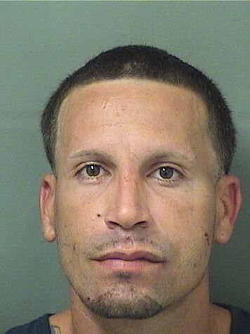  RICARDO OLMEDA Results from Palm Beach County Florida for  RICARDO OLMEDA