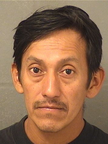  ADDER E BARRIOSGARCIA Results from Palm Beach County Florida for  ADDER E BARRIOSGARCIA