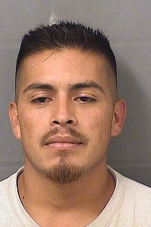 MIGUEL M MOLINEA Results from Palm Beach County Florida for MIGUEL M MOLINEA MIGUEL M MOLINEA Results from Palm Beach County Florida for MIGUEL M MOLINEA