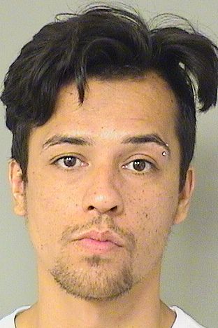  JAMES CHRISTOPHER HOLLAND Results from Palm Beach County Florida for  JAMES CHRISTOPHER HOLLAND