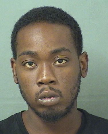  LUNZER LUNZINCOURT Results from Palm Beach County Florida for  LUNZER LUNZINCOURT