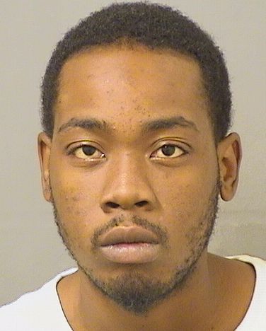  LUNZER LUZINCOURT Resultados de la busqueda para Palm Beach County Florida para  LUNZER LUZINCOURT