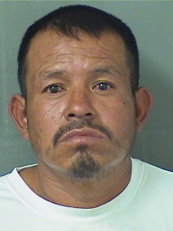 JOSE DOMINGO DIASCAMPOSECO Results from Palm Beach County Florida for JOSE DOMINGO DIASCAMPOSECO JOSE DOMINGO DIASCAMPOSECO Results from Palm Beach County Florida for JOSE DOMINGO DIASCAMPOSECO