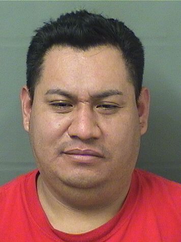  SERMELINO LUCAS VELASQUEZ Results from Palm Beach County Florida for  SERMELINO LUCAS VELASQUEZ