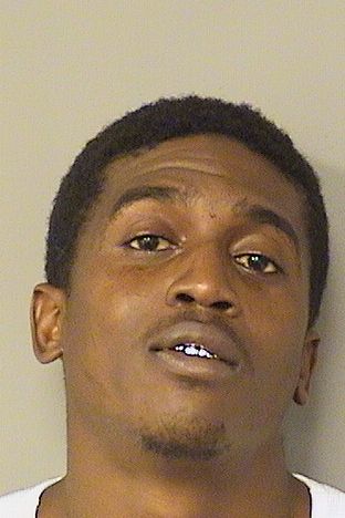  GREGORY EMERSON LEE Results from Palm Beach County Florida for  GREGORY EMERSON LEE