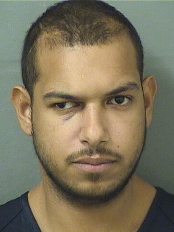  EDWIN EMMANUEL VALLE Results from Palm Beach County Florida for  EDWIN EMMANUEL VALLE