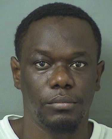  WESLY MICHAUD Results from Palm Beach County Florida for  WESLY MICHAUD