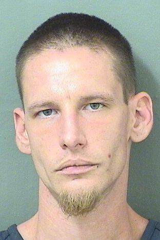  THOMAS CHRISTOPHER BRAUER Results from Palm Beach County Florida for  THOMAS CHRISTOPHER BRAUER
