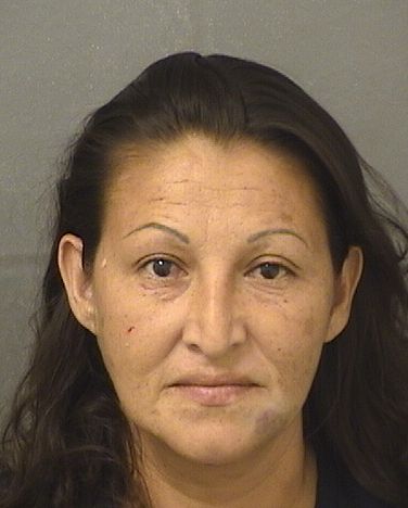  ANA BERTILA MONTESALVARDO Results from Palm Beach County Florida for  ANA BERTILA MONTESALVARDO