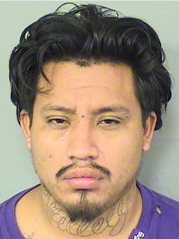  ELIAS FRANCISCO PASCUAL Resultados de la busqueda para Palm Beach County Florida para  ELIAS FRANCISCO PASCUAL