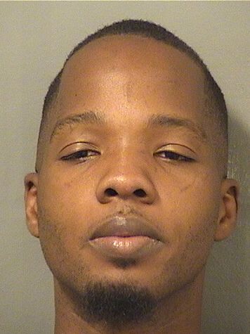  THOMAS VILSEIS Results from Palm Beach County Florida for  THOMAS VILSEIS