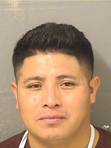  MIGUEL M JOSE Photo For  MIGUEL M JOSE