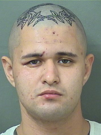  JULIAN L FRANCIS Results from Palm Beach County Florida for  JULIAN L FRANCIS