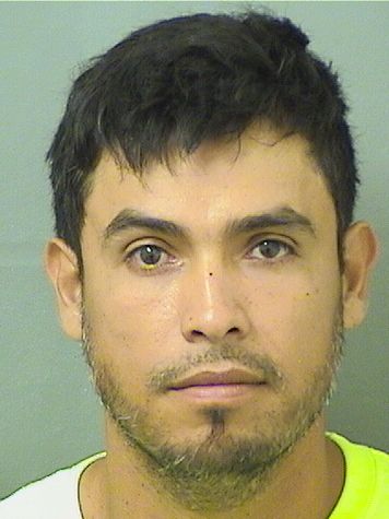  GONZALO CORREAVERGARA Resultados de la busqueda para Palm Beach County Florida para  GONZALO CORREAVERGARA