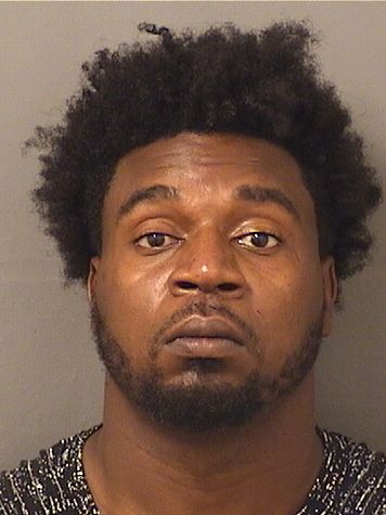  JEAN MICHEL HYPPOLITE Results from Palm Beach County Florida for  JEAN MICHEL HYPPOLITE