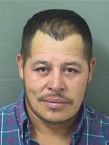  WILMER ALMENDARESCASTELL Photo