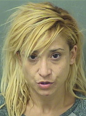  KAYLA AMARGOS Resultados de la busqueda para Palm Beach County Florida para  KAYLA AMARGOS