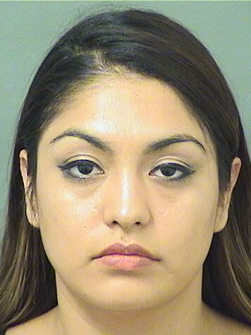  JOHAN MOLLY PEREZ Results from Palm Beach County Florida for  JOHAN MOLLY PEREZ