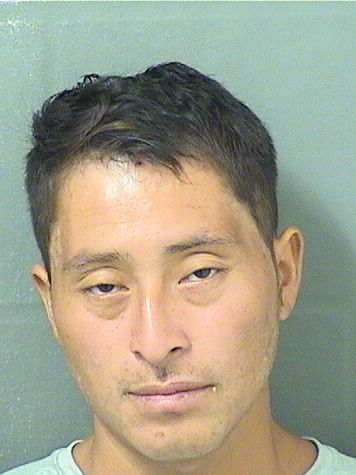  UBELINDO D RAMIREZVICENTE Results from Palm Beach County Florida for  UBELINDO D RAMIREZVICENTE