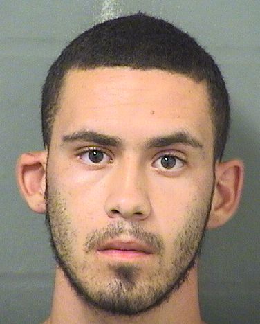  MISAEL AGUSTIN LOPEZ Results from Palm Beach County Florida for  MISAEL AGUSTIN LOPEZ