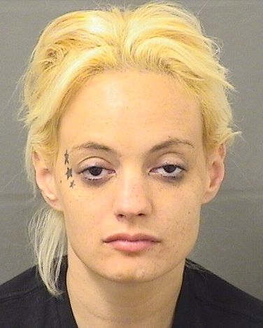  JILL MICHELLE RAU Results from Palm Beach County Florida for  JILL MICHELLE RAU