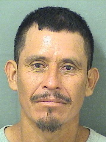  JUAN EMILIANO MORALESLOPEZ Results from Palm Beach County Florida for  JUAN EMILIANO MORALESLOPEZ