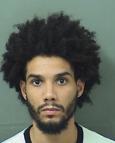  BERNARDO MANUEL MEDINA Results from Palm Beach County Florida for  BERNARDO MANUEL MEDINA