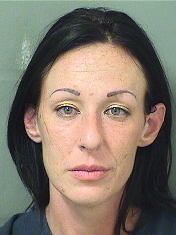  DANIELLE LEE MAMMANO Results from Palm Beach County Florida for  DANIELLE LEE MAMMANO